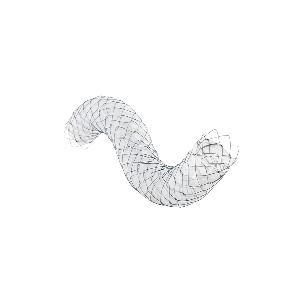 Metal Stent