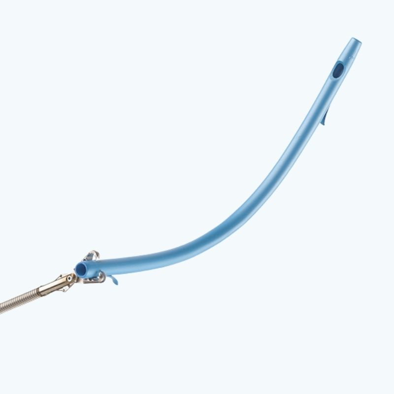 Endoscopy