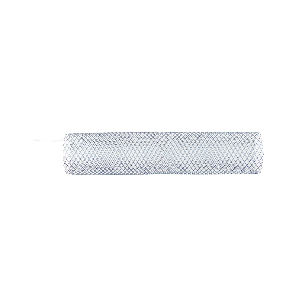 Small Image 1