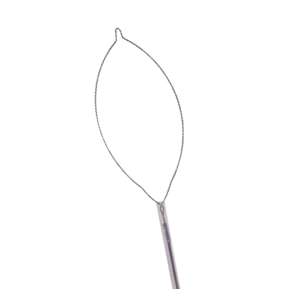 Rotatable Snare