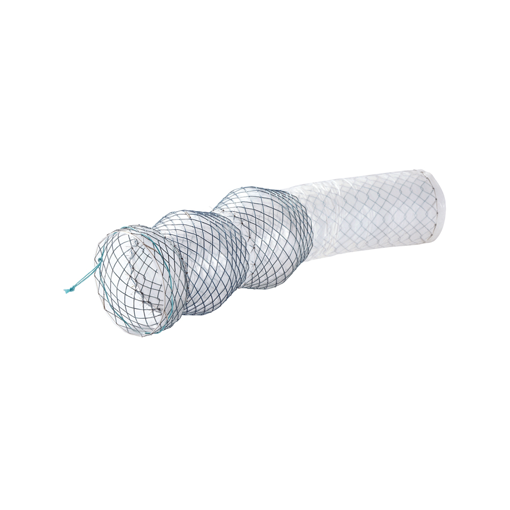 Niti-S Esophageal Covered Stent [Beta]