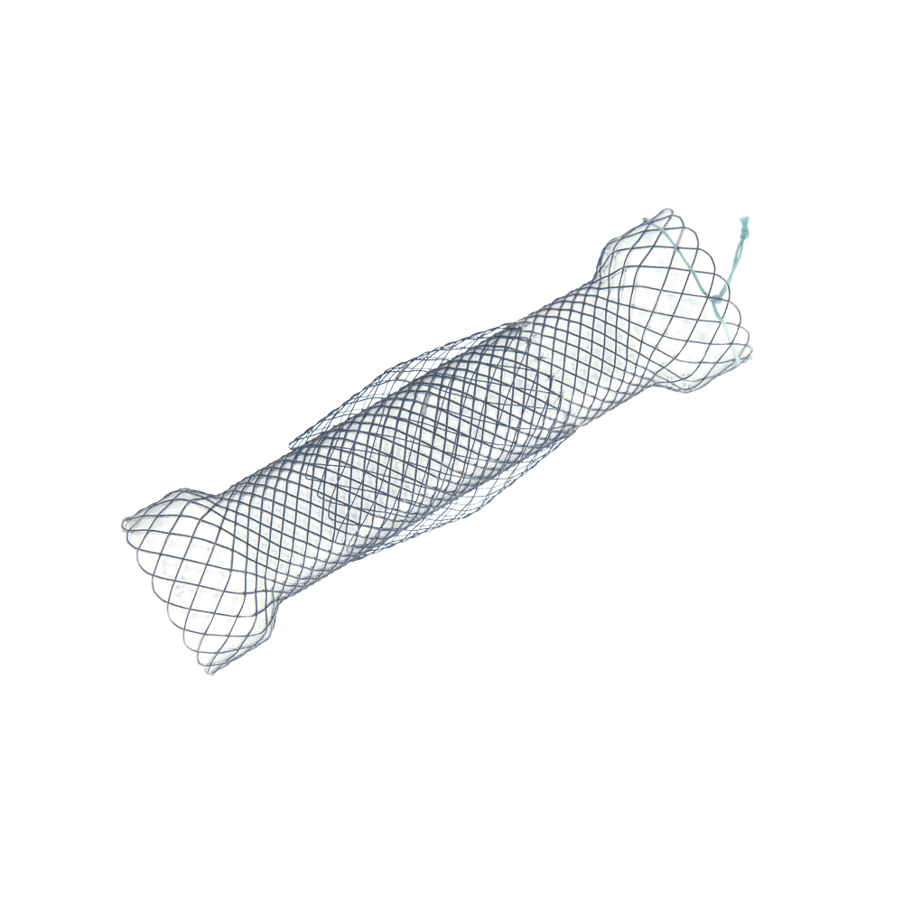 Niti-S Esophageal Covered Stent [Double-Type]