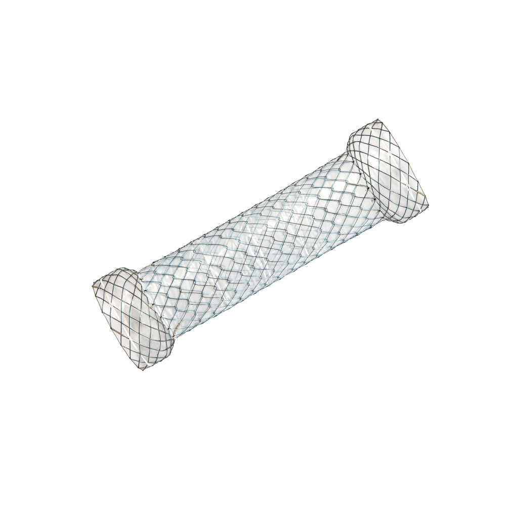 Niti-S Esophageal Covered Stent [Full Covered Dual -Type]