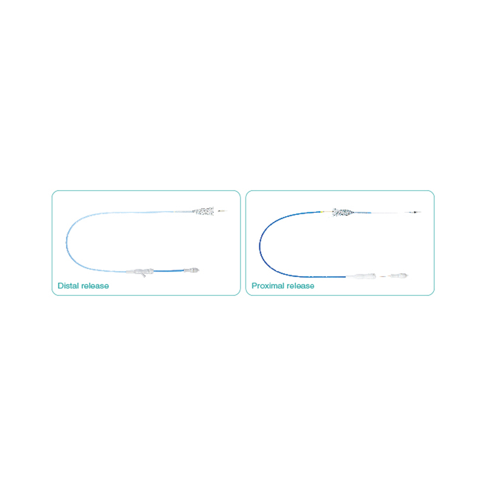 Niti-S Esophageal Covered Stent [S-Type]