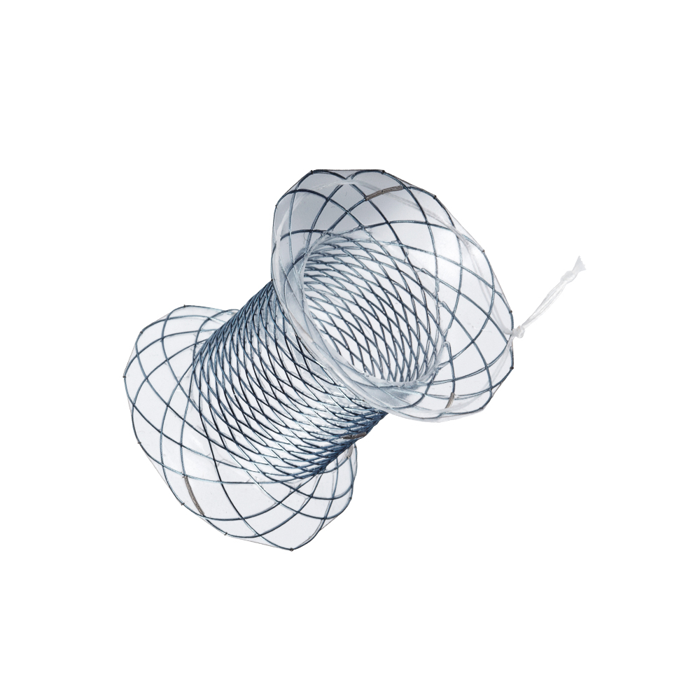 Niti-S Hot Nagi Stent & Electrocautery Stent Delivery System