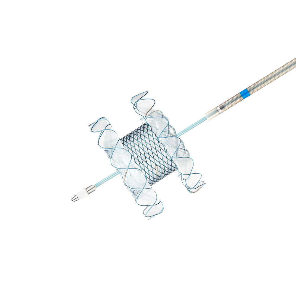 Niti-S Hot SPAXUS Stent & Electrocautery Stent Delivery System