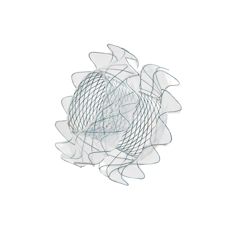 Niti-S SPAXUS Lumen-apposing Metallic Stent